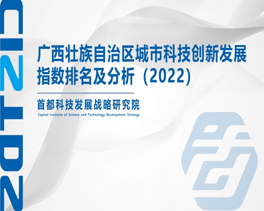 老女人Av【成果发布】广西壮族自治区城市科技创新发展指数排名及分析（2022）